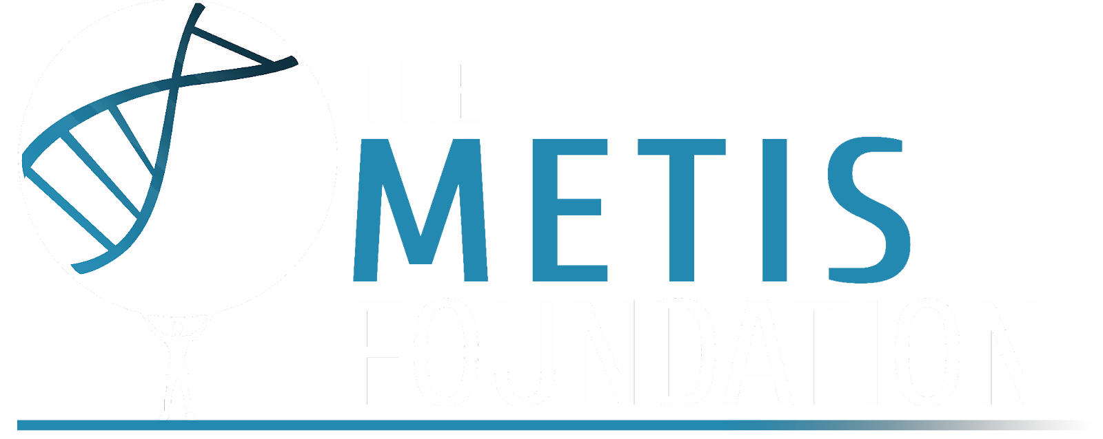The Metis Foundation
